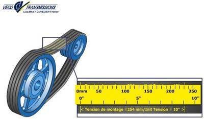  - FORNITURE INDUSTRIALI PIERUCCI